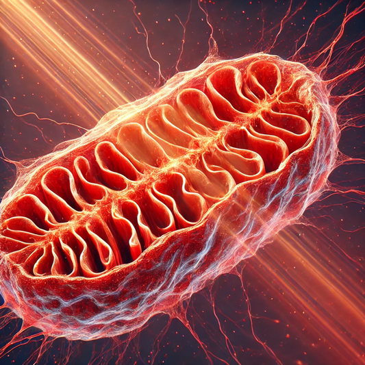 The Power of Red Light Therapy and Its Impact on Mitochondrial Function